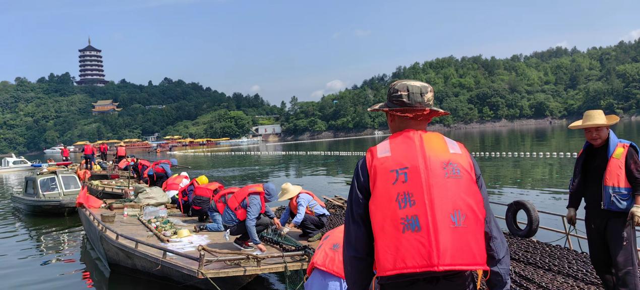 保水净水—K8凯发公司更换大水面三处拦鱼设施