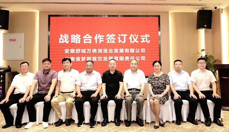 K8凯发公司与梦都集团签订战略合作协议