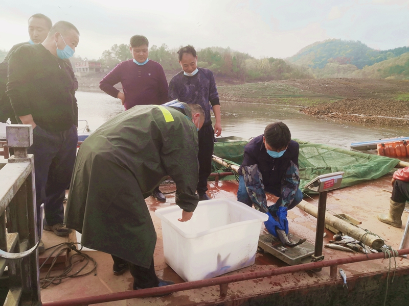 公司圆满完成2022年度鱼种投放