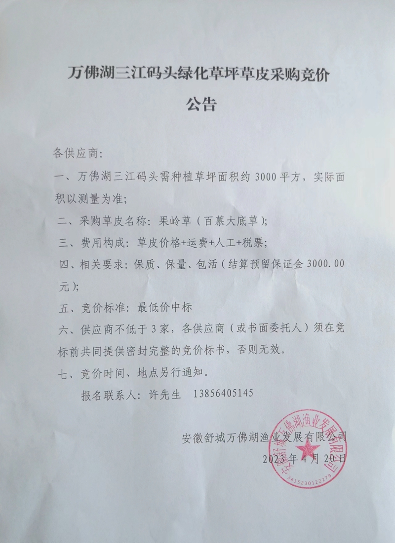 凯发三江码头绿化草坪草皮采购竞价公告